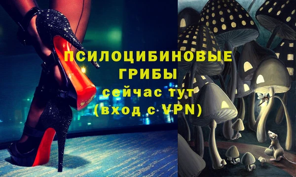 соль ск Алзамай