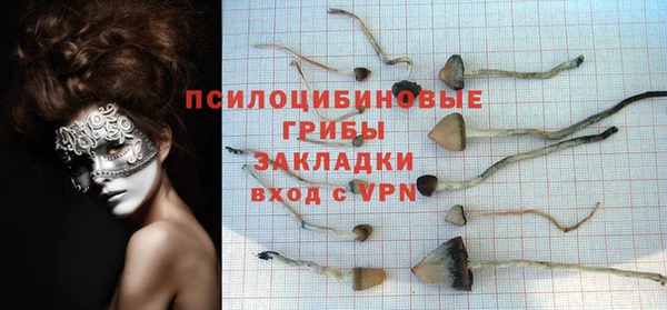 соль ск Алзамай