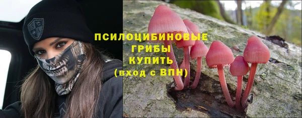ешки Алексин