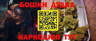 сатива Лесосибирск