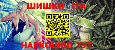 сатива Лесосибирск