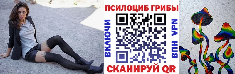 Псилоцибиновые грибы мухоморы  гидра рабочий сайт  Ижевск  продажа наркотиков 