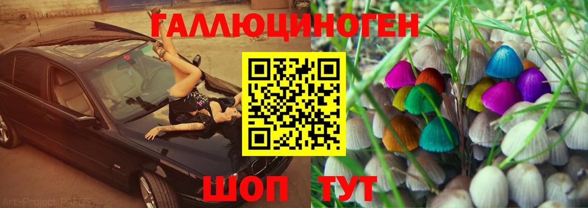Псилоцибиновые грибы Cubensis Ижевск